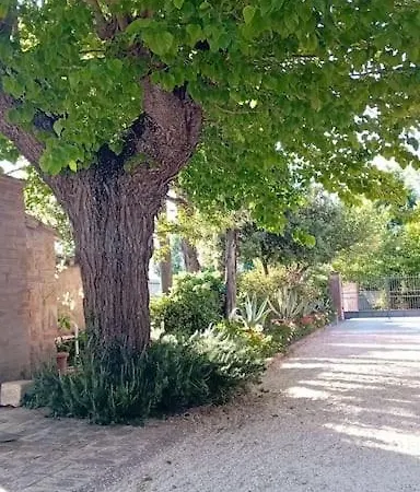 I Gelsi Di Colombata Locazione Turistica Breve In Campagna Holiday home