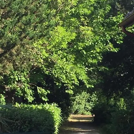 Tatil Evi I Gelsi Di Colombata Locazione Turistica Breve In Campagna *