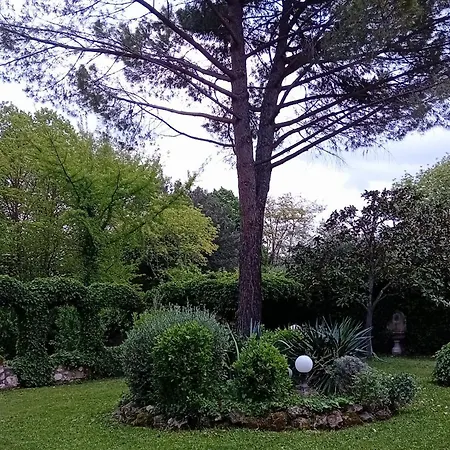 度假居 I Gelsi Di Colombata Locazione Turistica Breve In Campagna 纳尔尼