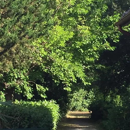 I Gelsi Di Colombata Locazione Turistica Breve In Campagna Tatil Evi