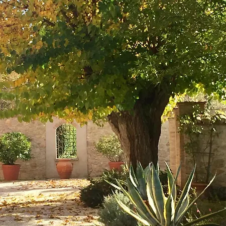 I Gelsi Di Colombata Locazione Turistica Breve In Campagna Holiday home *