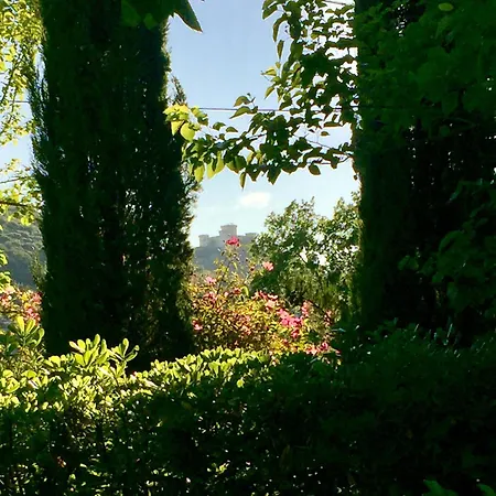 Tatil Evi I Gelsi Di Colombata Locazione Turistica Breve In Campagna Narni
