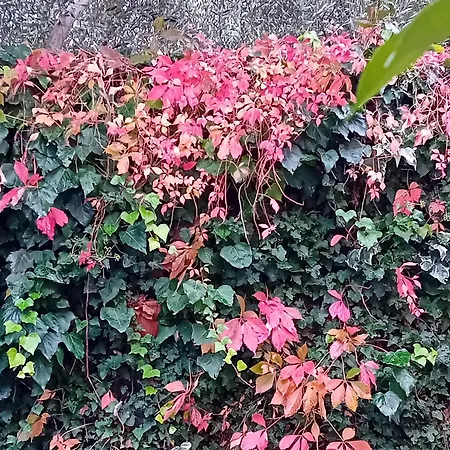 I Gelsi Di Colombata Locazione Turistica Breve In Campagna 度假居 纳尔尼