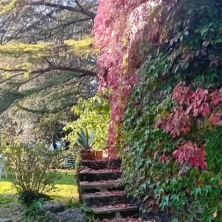 I Gelsi Di Colombata Locazione Turistica Breve In Campagna 度假居 纳尔尼