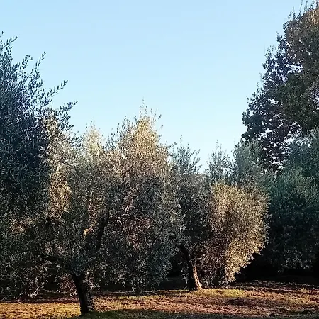 I Gelsi Di Colombata Locazione Turistica Breve In Campagna Holiday home *