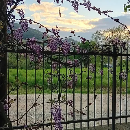 I Gelsi Di Colombata Locazione Turistica Breve In Campagna 度假居 *