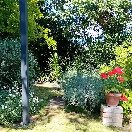 I Gelsi Di Colombata Locazione Turistica Breve In Campagna *