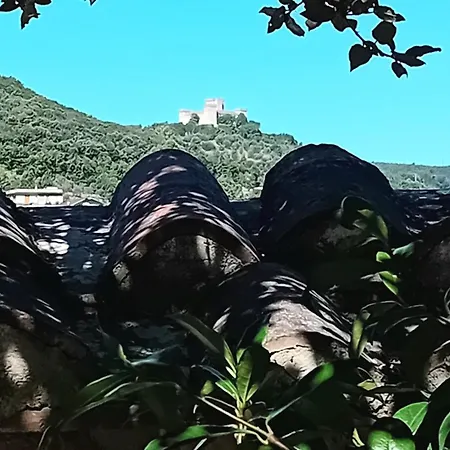 度假居 I Gelsi Di Colombata Locazione Turistica Breve In Campagna