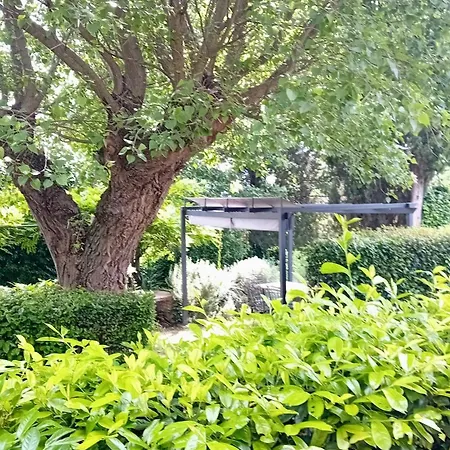 度假居 I Gelsi Di Colombata Locazione Turistica Breve In Campagna 纳尔尼