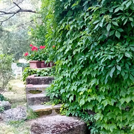 I Gelsi Di Colombata Locazione Turistica Breve In Campagna Tatil Evi