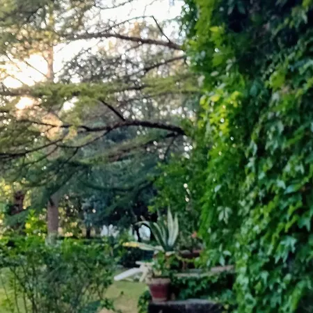 I Gelsi Di Colombata Locazione Turistica Breve In Campagna Casa de Férias *