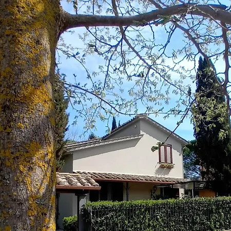 I Gelsi Di Colombata Locazione Turistica Breve In Campagna * 纳尔尼