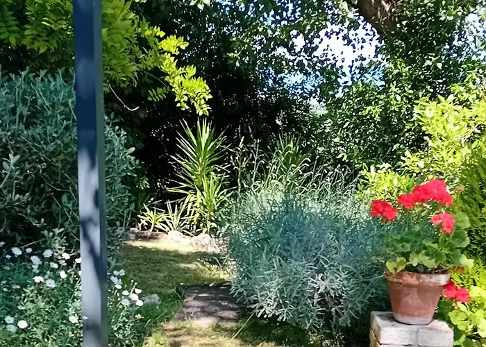 I Gelsi Di Colombata Locazione Turistica Breve In Campagna *