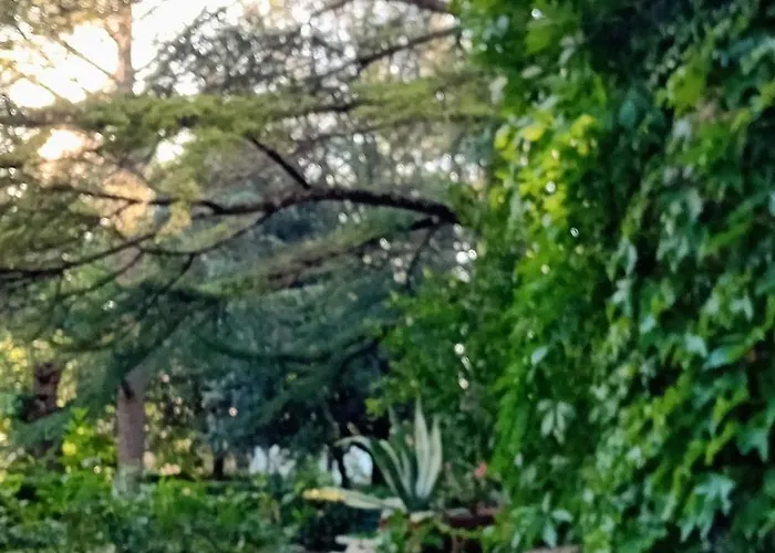 I Gelsi Di Colombata Locazione Turistica Breve In Campagna Сasa de vacaciones *